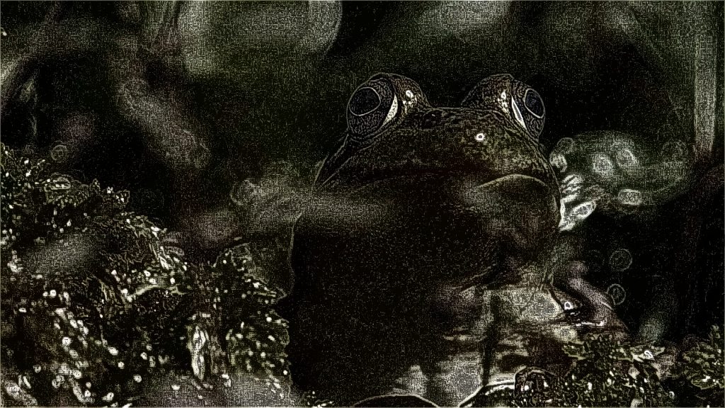 FORÊT D’EXPÉRIMENTATION frosch filmstill