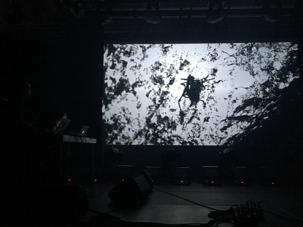 black seas ensemble performs at suoni per il popolo festival in montreal, audiovisual research into auditory hallucinations, 